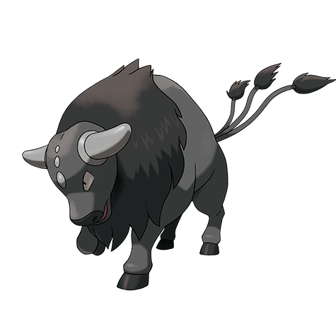 tauros-paldea-combat-breed