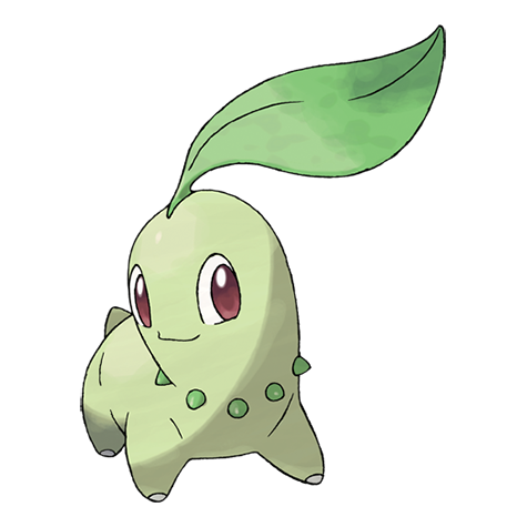 chikorita