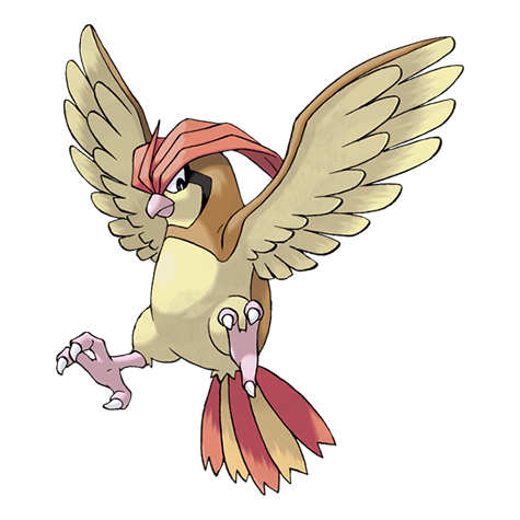 pidgeotto