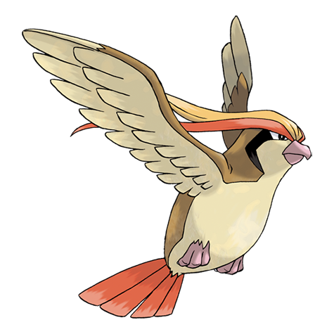 pidgeot