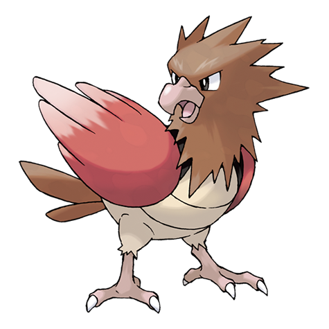 spearow