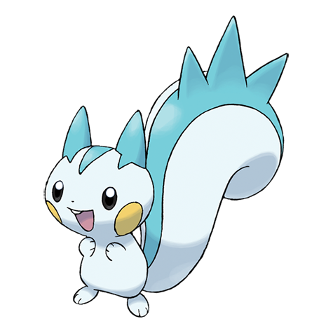 pachirisu