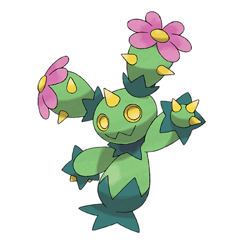 maractus