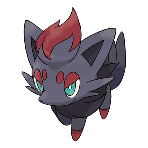 zorua