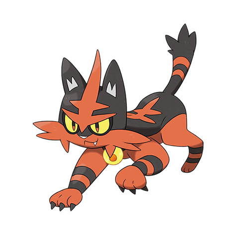 torracat