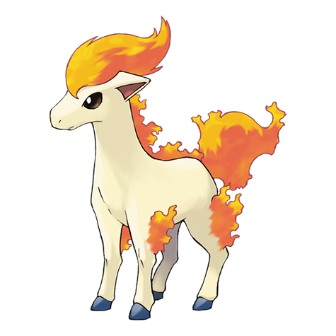 ponyta