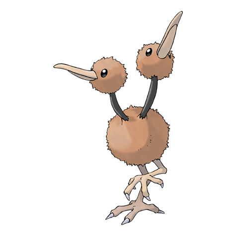 doduo